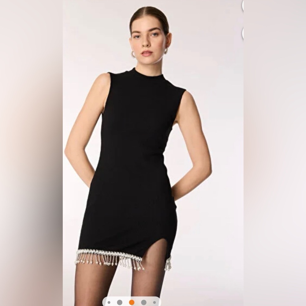 Zara Black Mini Dress with Fringe Accent - Picture 4 of 6